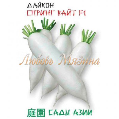 Дайкон Спринг Вайт фото