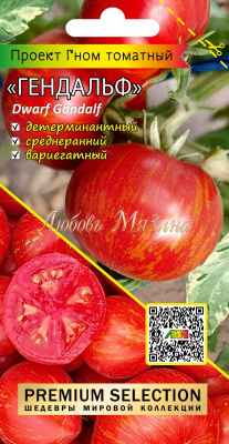Томат Гном Гендальф фото